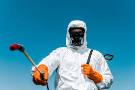 Professional Pest Control in Big Pine, CA